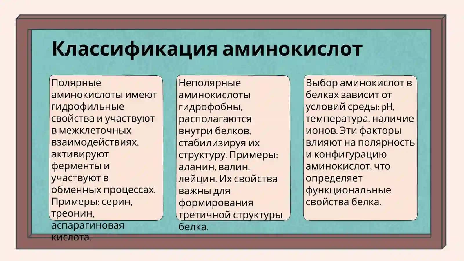 303 ГРУППА МАДИЕРОВА НОЗИМА 4