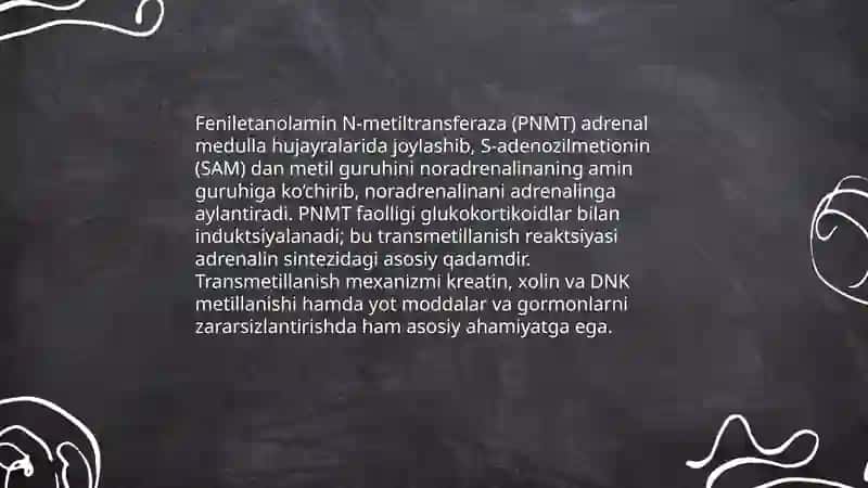 Transemetillanishning ahamiyati 4