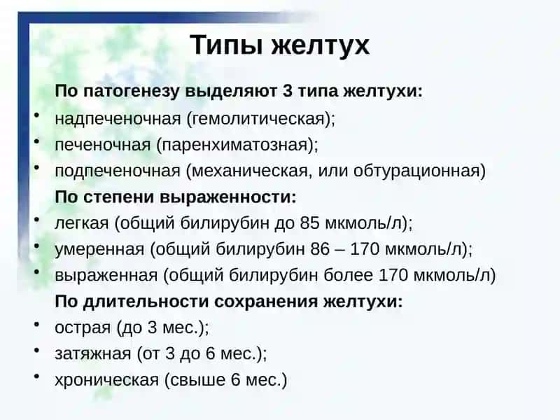 Желтуха (icterus) 4