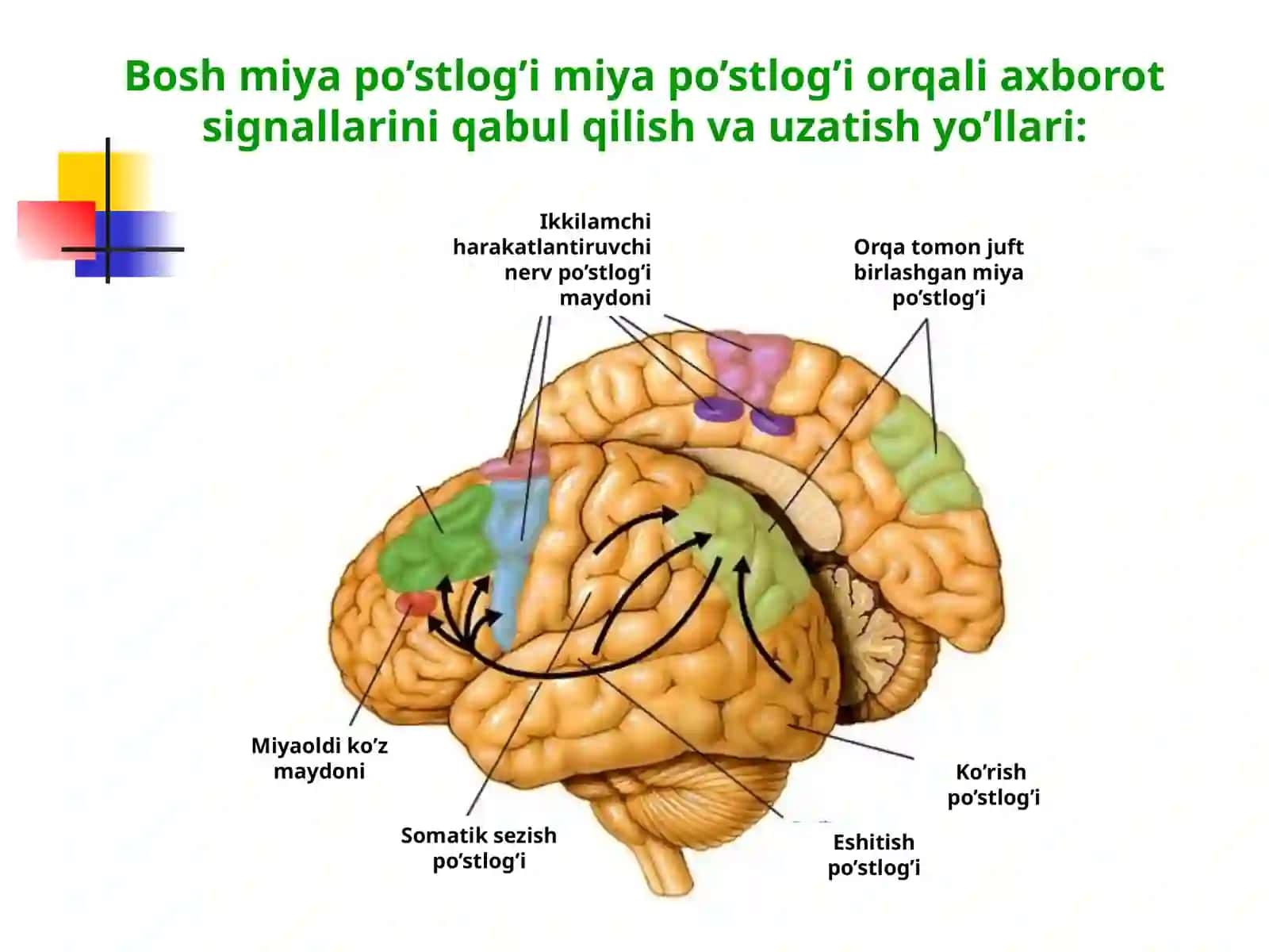 SHAXSNING IJTIMOIY BORLIQNI BILISHI 4
