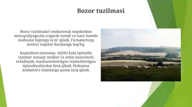 Iqtisodiy tizimlar (bir davlat misolida) 4