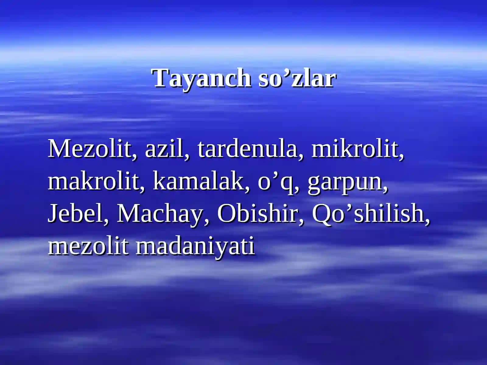 Mezolit davri 4