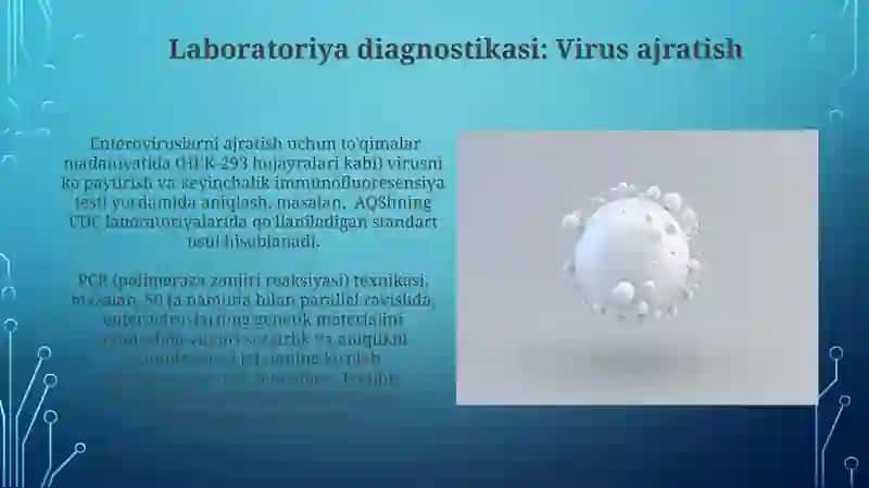Enteroviruslar Patogenezi 4