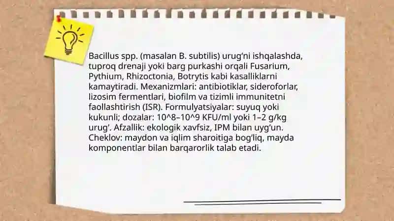 Trichoderma spp. oʻsimlik kasalliklariga biologik kurash 4