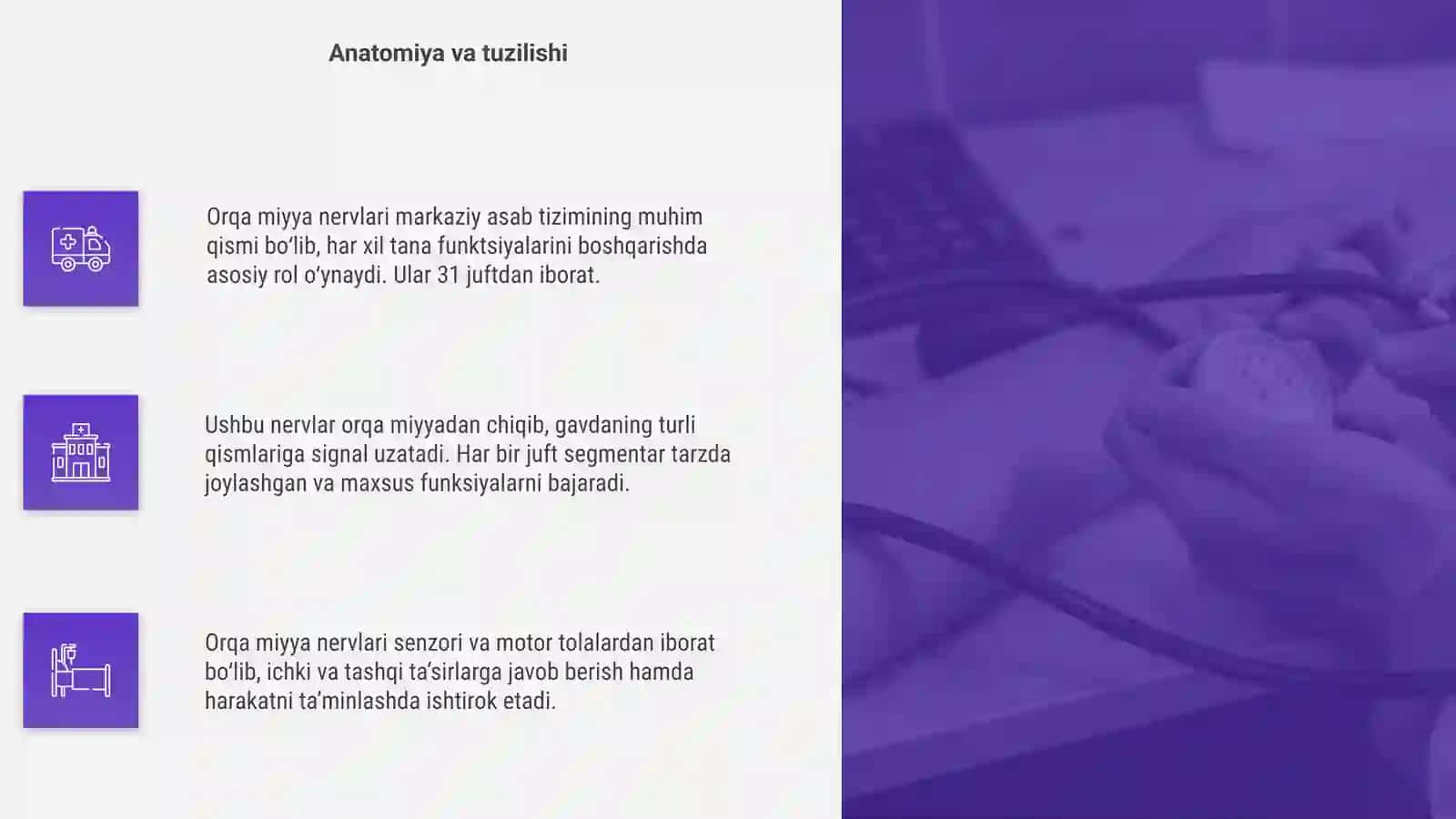 Orqa miyya nervlari 4