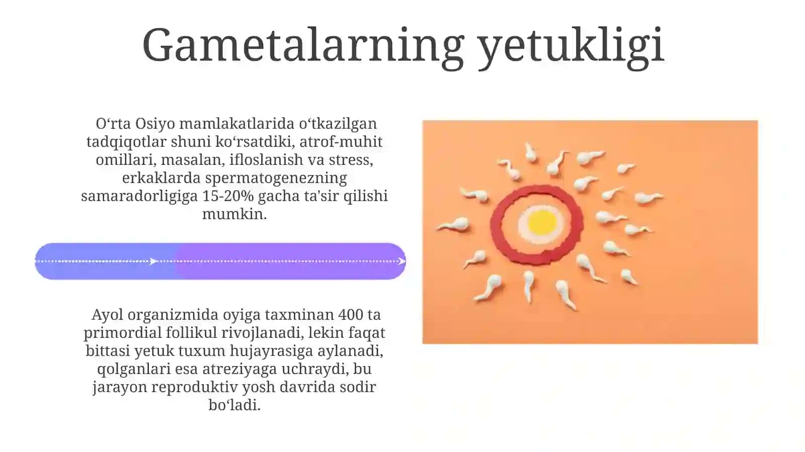 Gametalarning yetukligi 4
