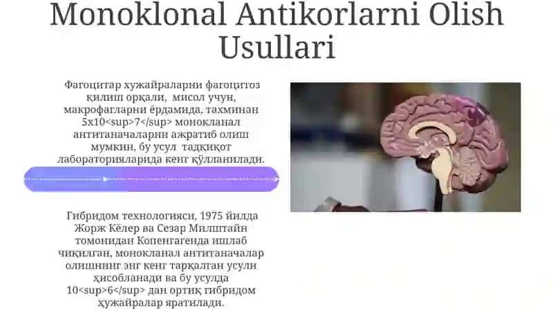Monoklonal antitellar 4