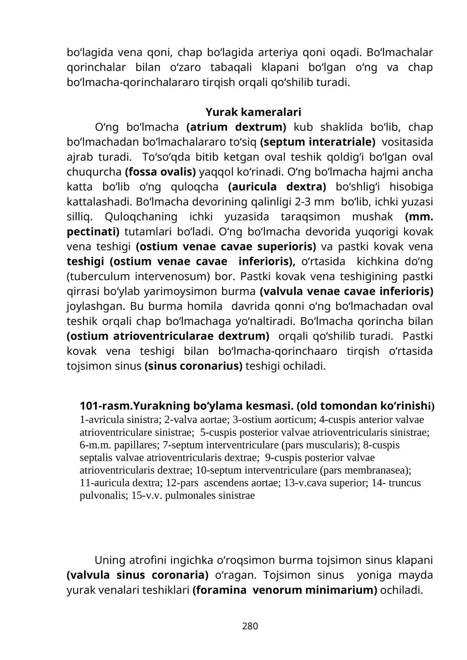 Qon tomirlar tizimi haqidagi ilm-angiologiya 4