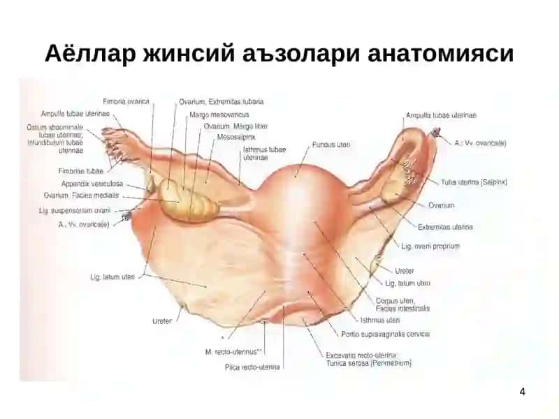 Xomiladorlikning 1- va 2- yarmoida qon ketishlar 4