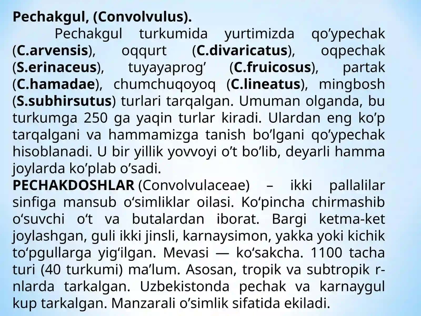 Pechakdoshlar (Convolvulaceae) va Ituzumdoshlar (Solanaceae) oilasi 4