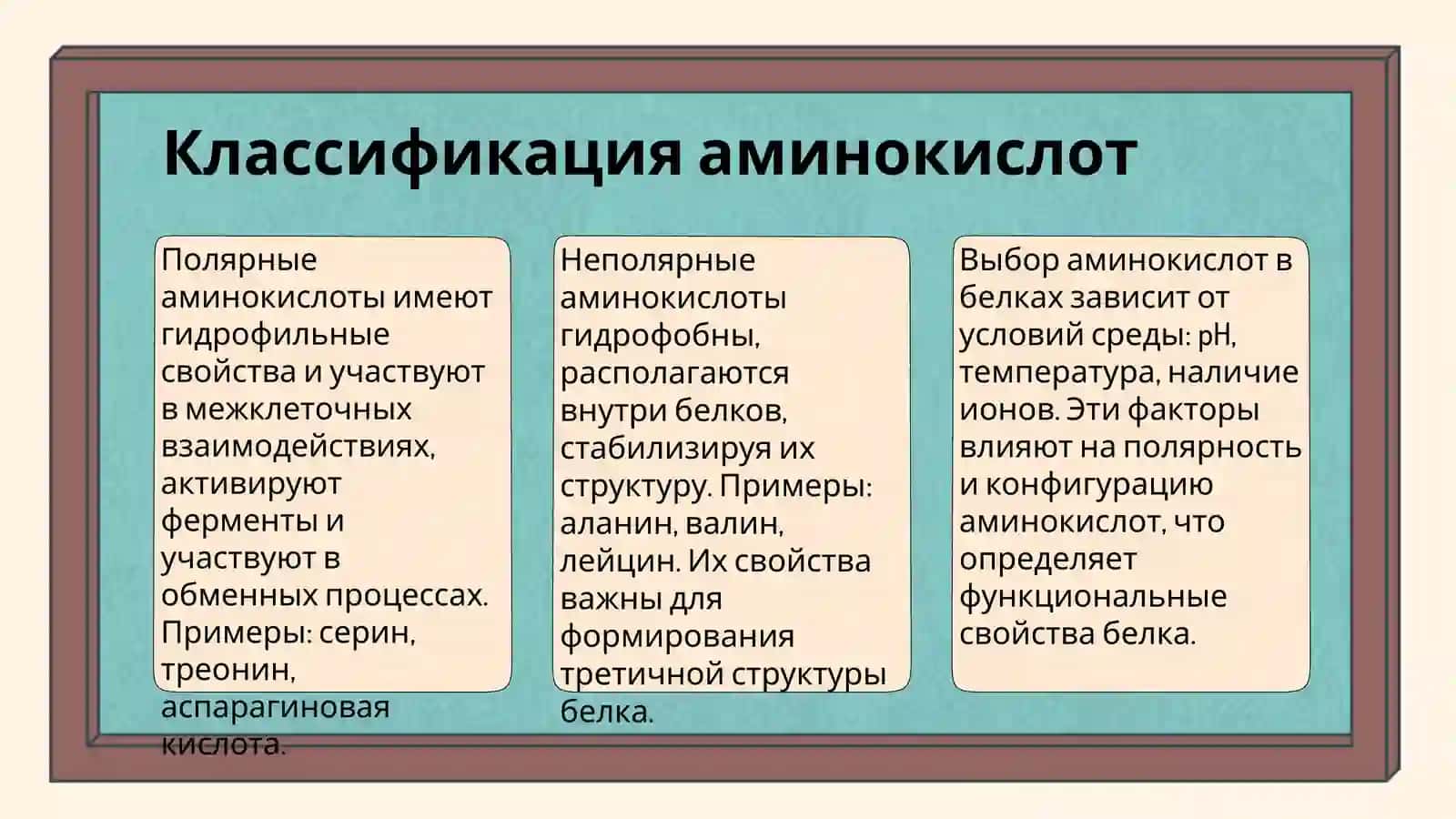Первичная структура белков и пептидов 4