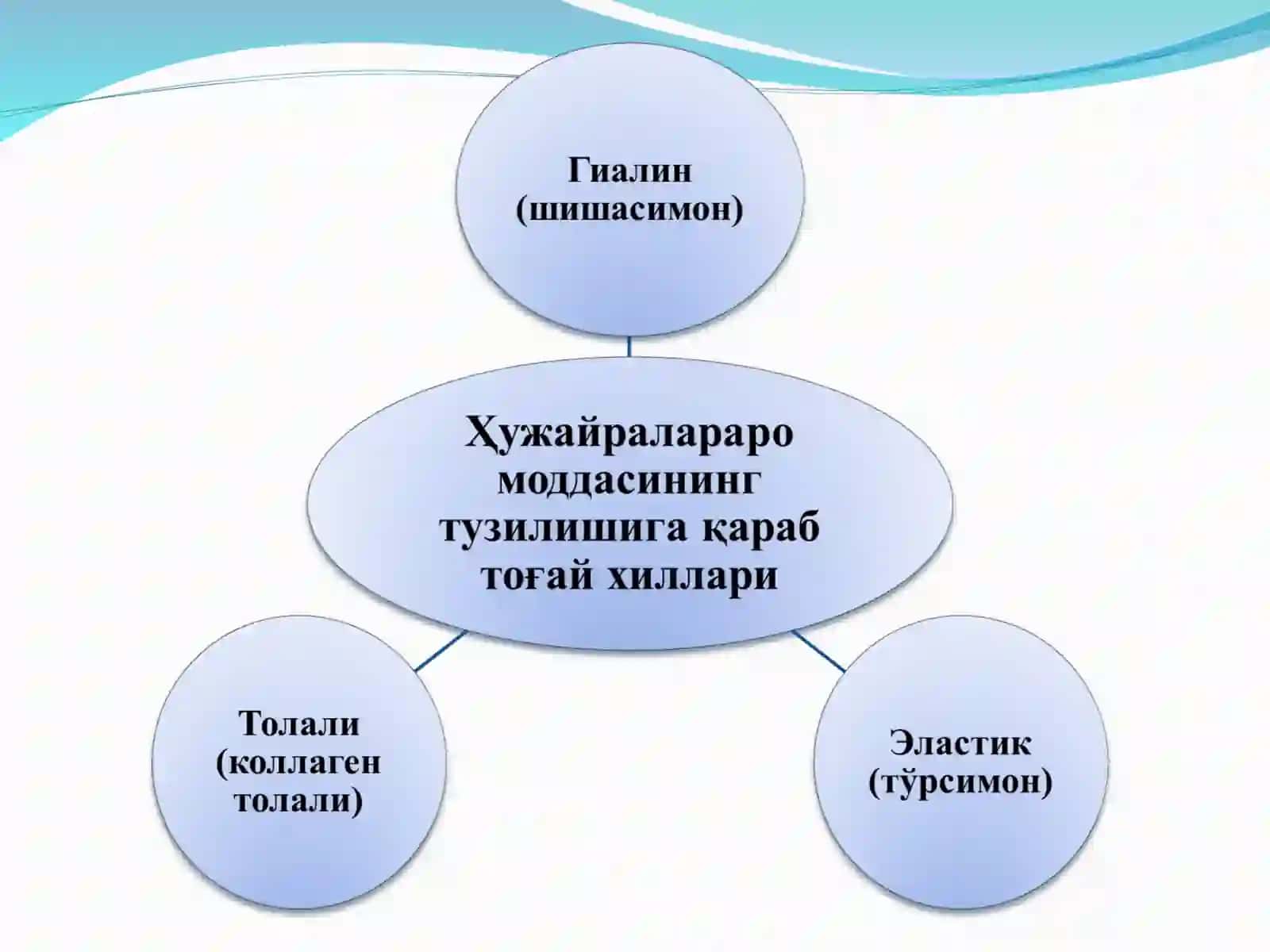 Тоғай ва суяк тўқималари 4