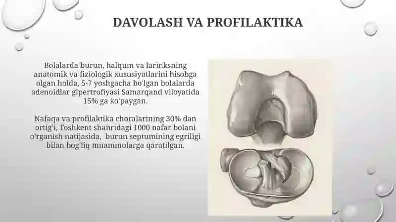 Bolalarda Burun Anatomiyasi 4