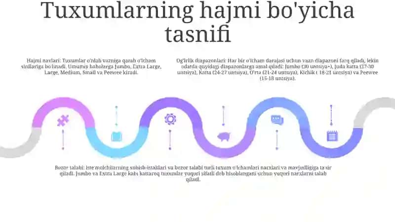 Tuxum Va Tuxum Turlari 4