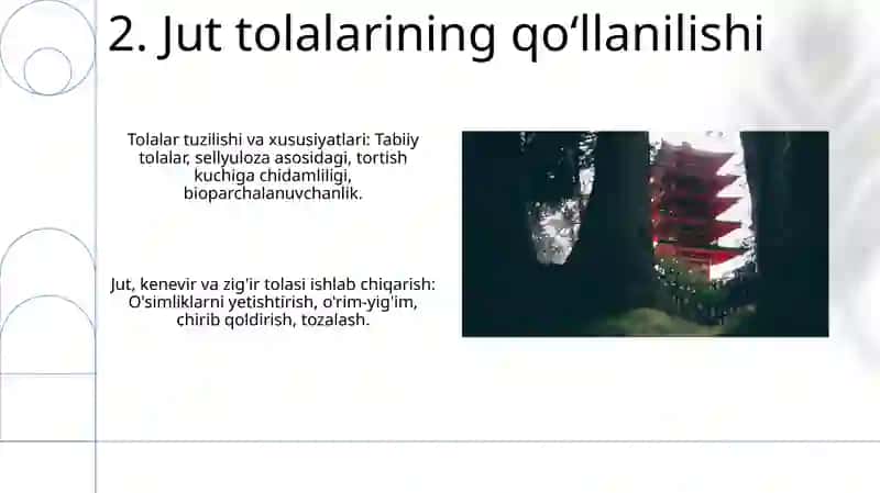 Tolali Tuzilishi va Xususiyatlari 4