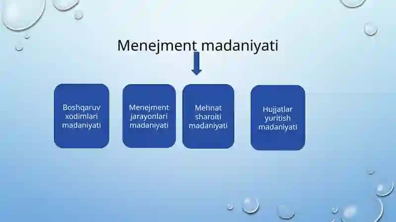 Menejment va madaniyat 4
