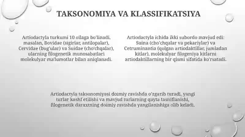 Juft tuyoqlilar 4