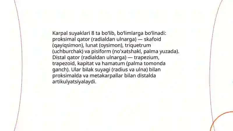 Qo‘lning erkin va panja suyaklari 4