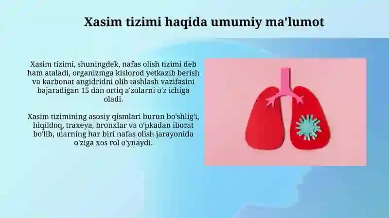 Xasim tizimining tuzilishi 4