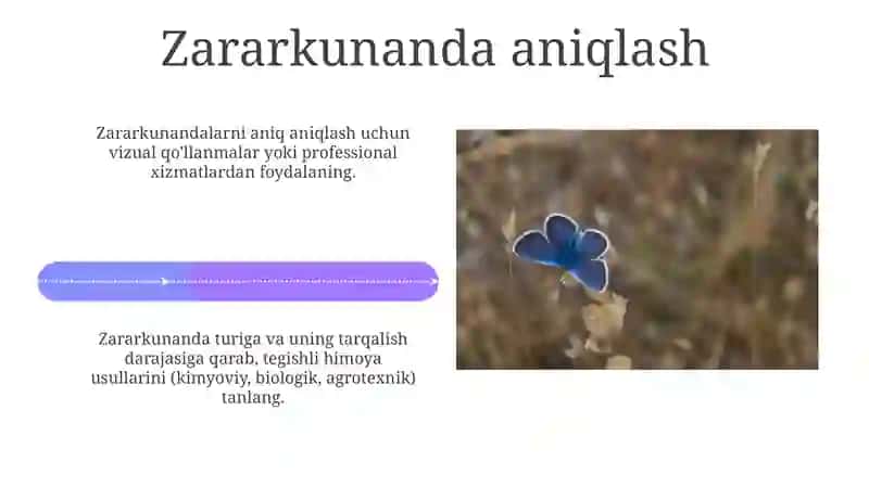 Qo'ng'izlarning biozararlanishi 4
