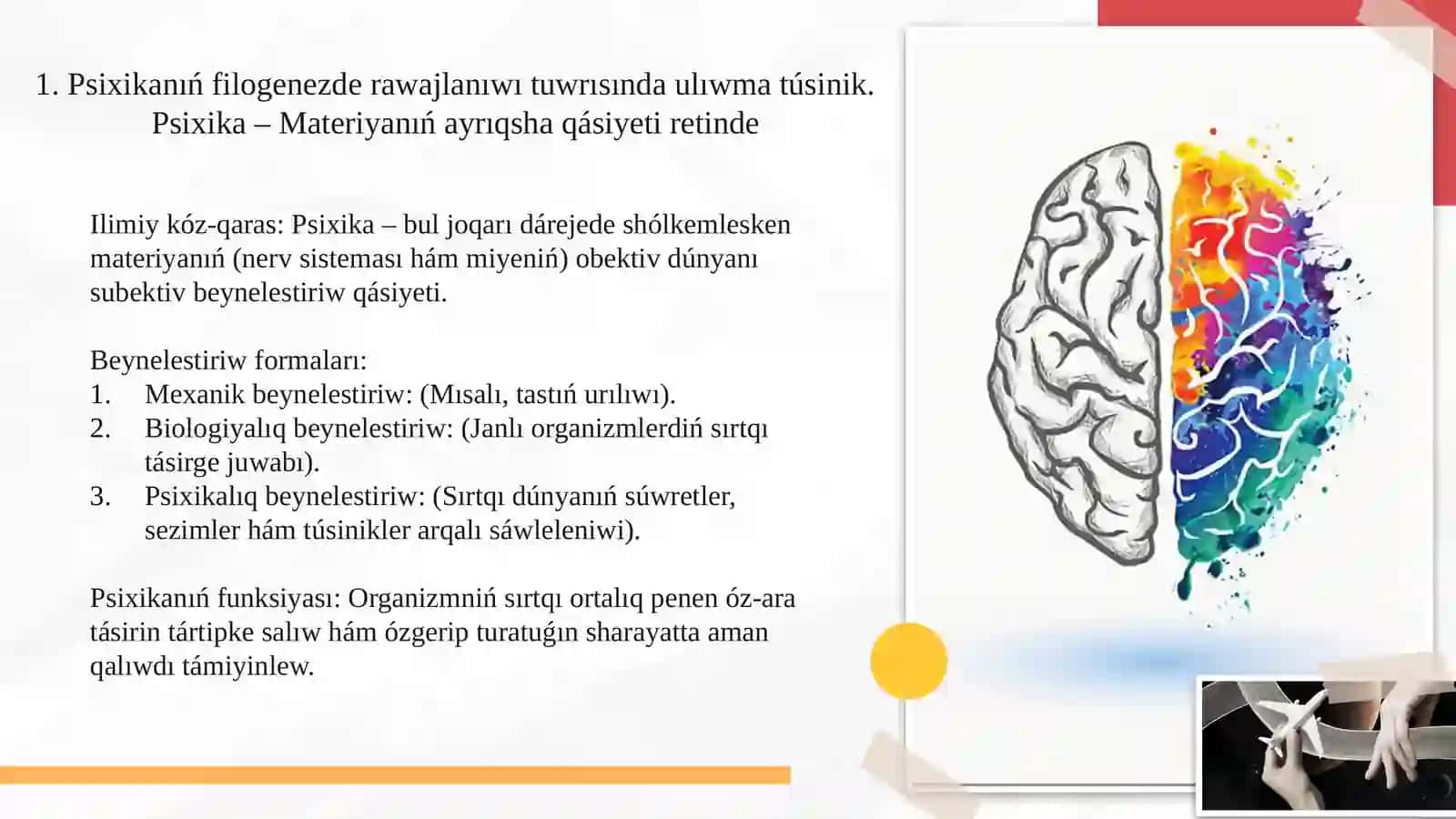 Psixikanıń filogenezde rawajlanıwı 4