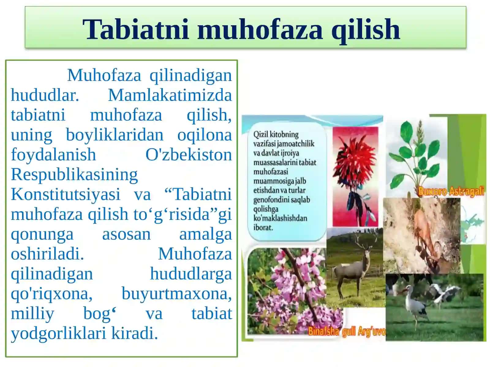 Mavzu rejasi 4