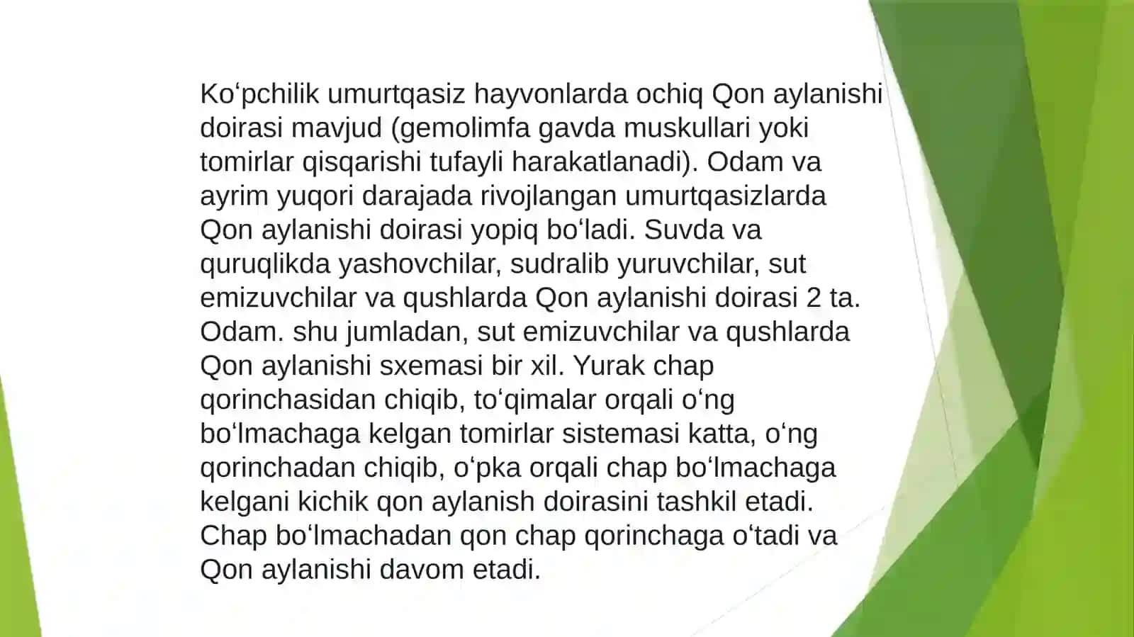 Anatomiya fanidan mustaqil ishi 4