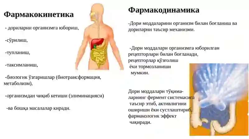 УМУМИЙ ФАРМАКОЛОГИЯ 4