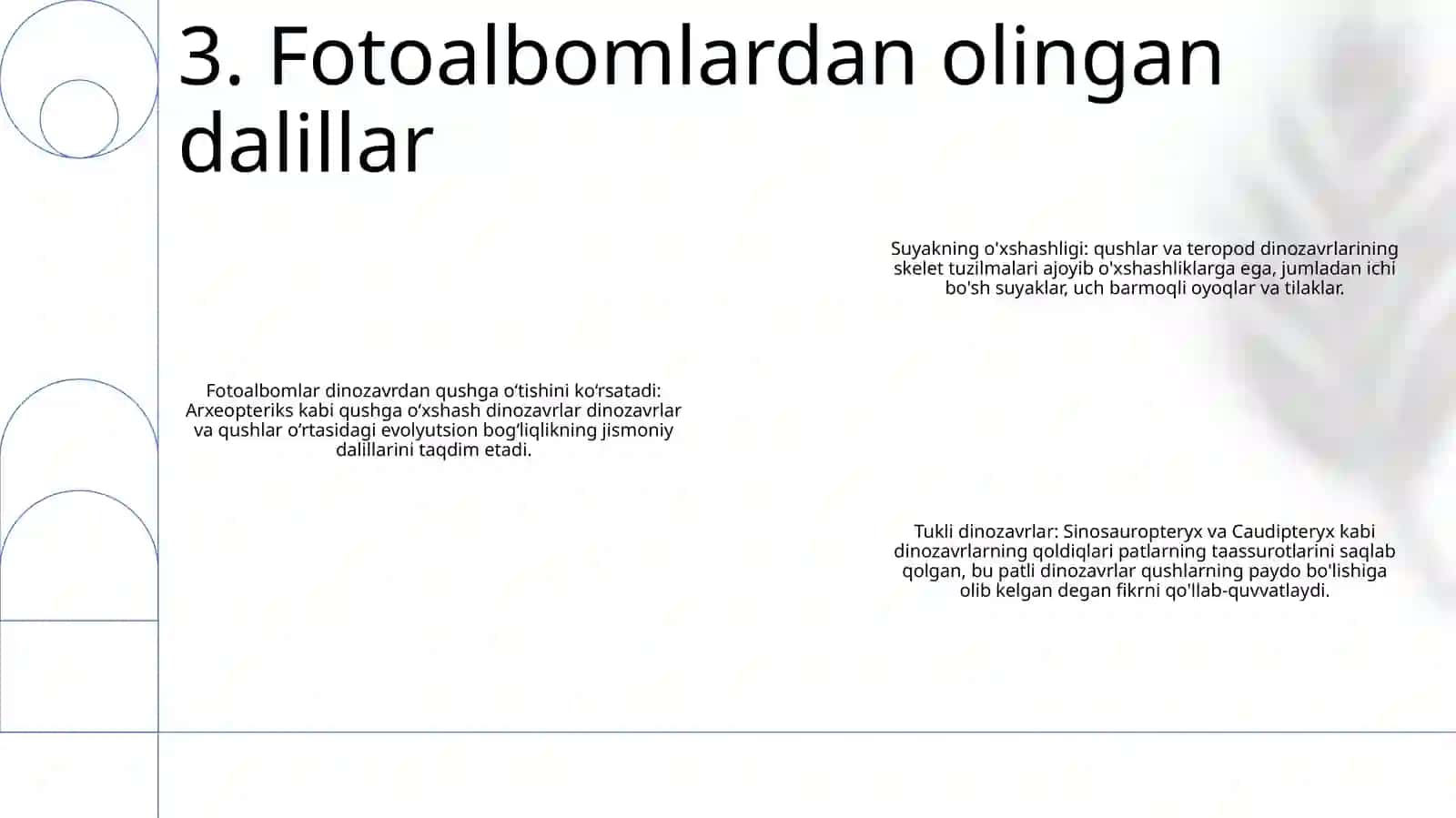 Qushlarning Kelib Chiqishi 4