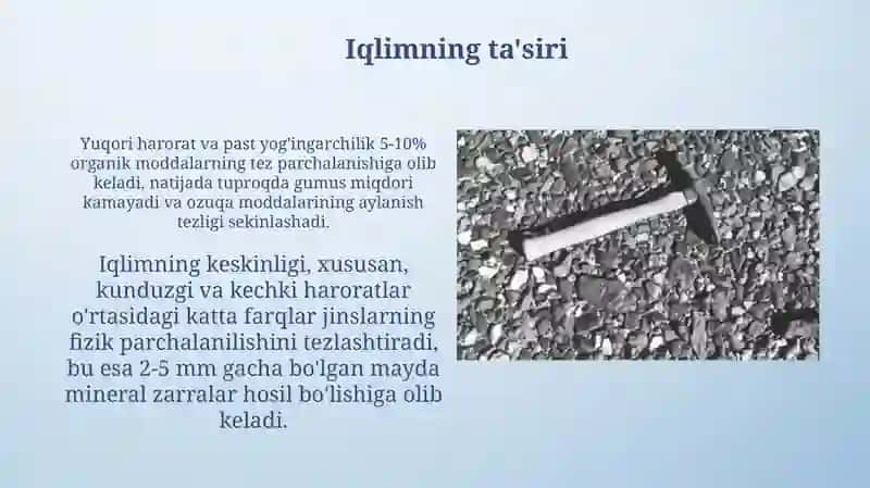 Cho'l zonasi tuproqlari marfalogiyasi 4