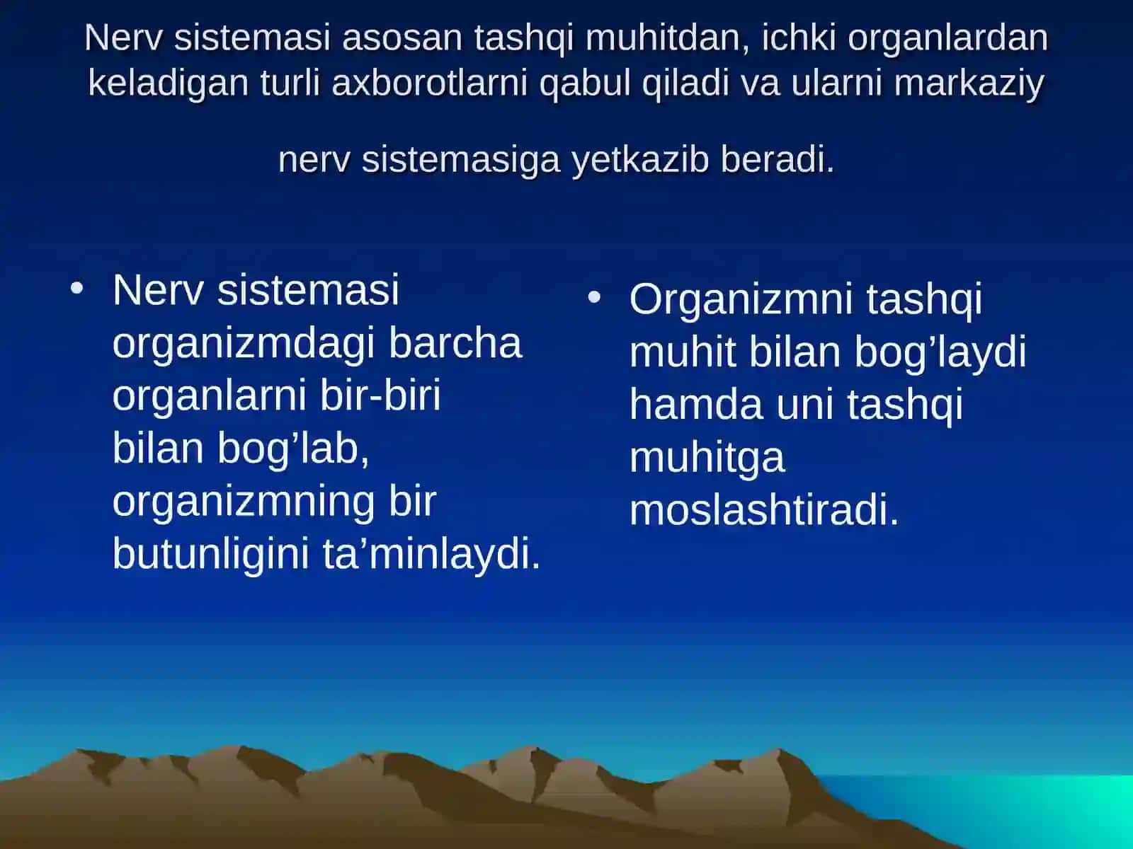 Nerv tizimi anatomiyasi 4