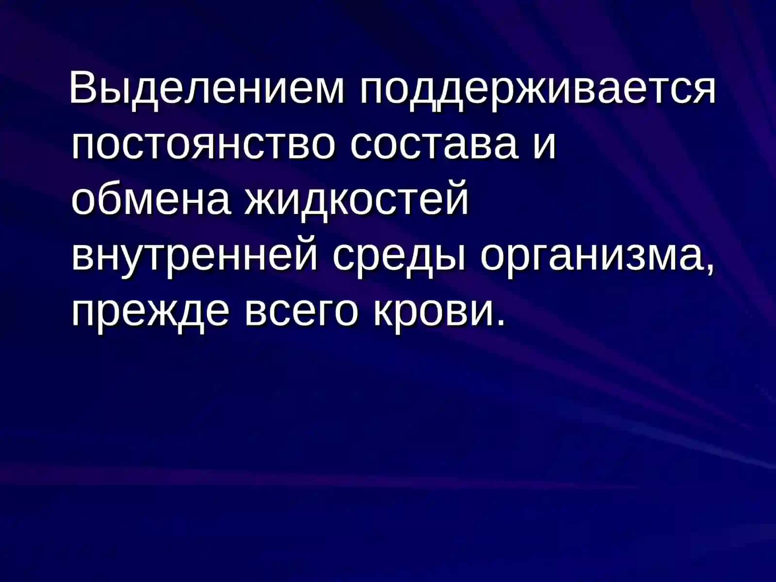 Экскреторная функция организма 4