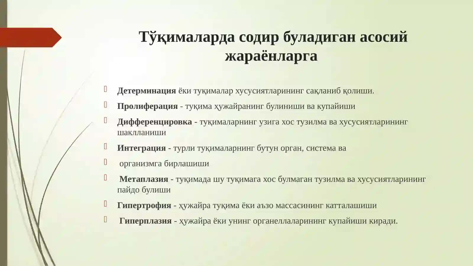 ЭПИТЕЛИЙ ВАБИРИКТИРУВЧИ ТЎҚИМА 4