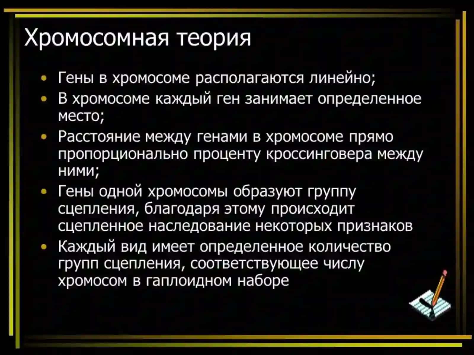 Хромосомная теория наследственности 4
