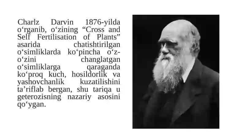 Geterozis 4
