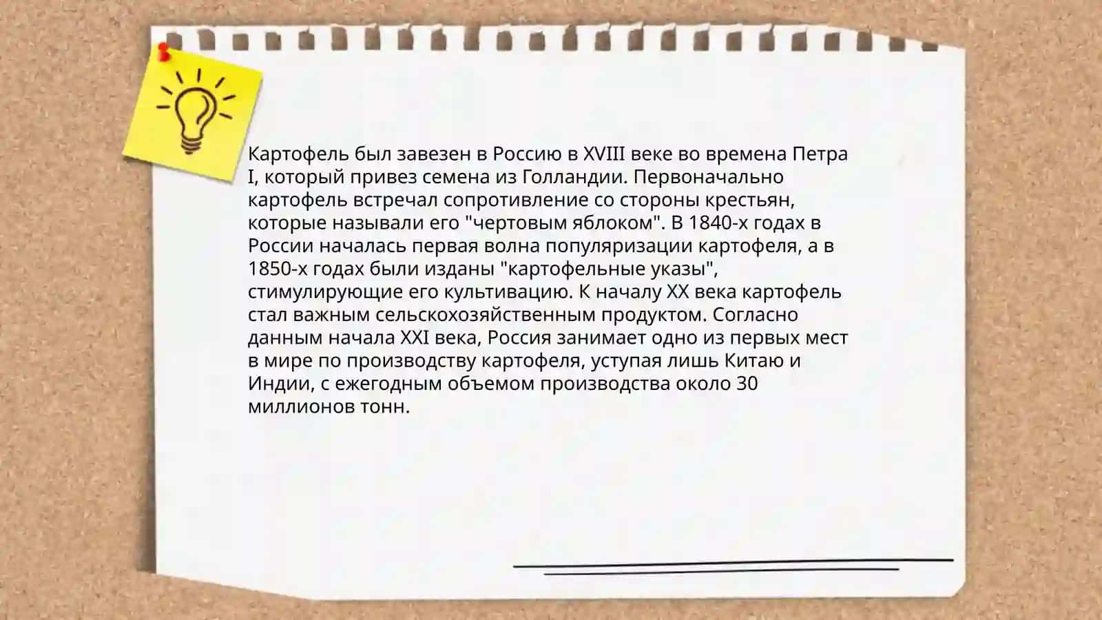 Caфарбоева. С 4