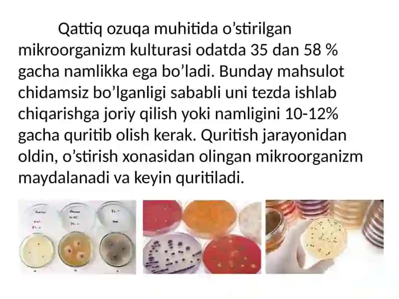 Fermentlarmuhandisligi(IIqism) 4