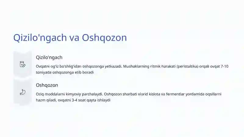 Ovqat Hazm Qilish Tizimi 4