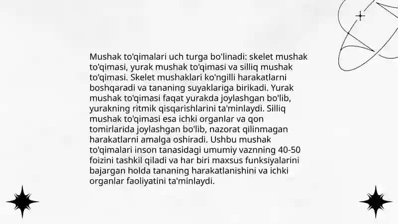 Muskullar anotomik tuzilishi 4