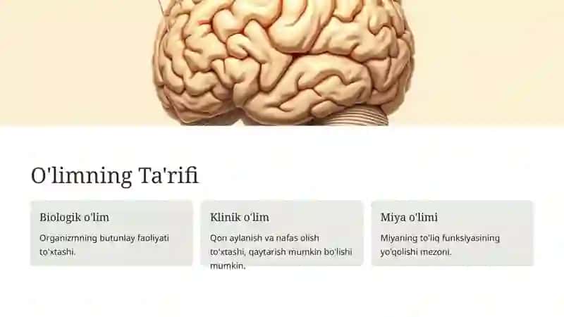 O'lim haqida tushunchalar 4