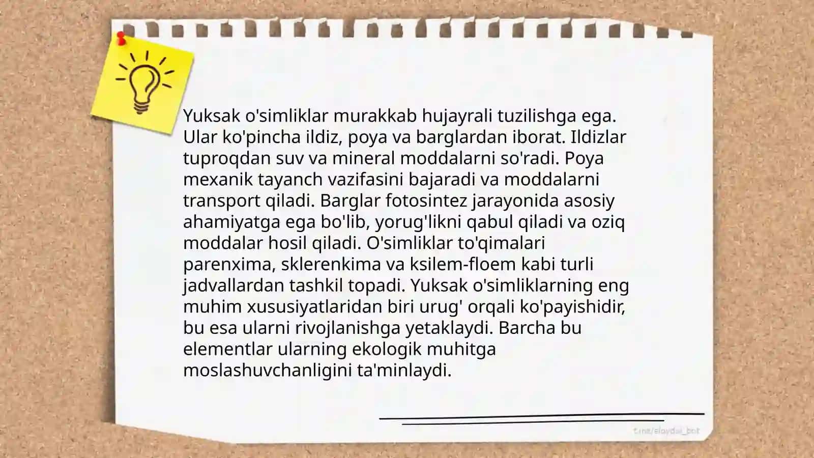 Yuksak õsimliklar 4