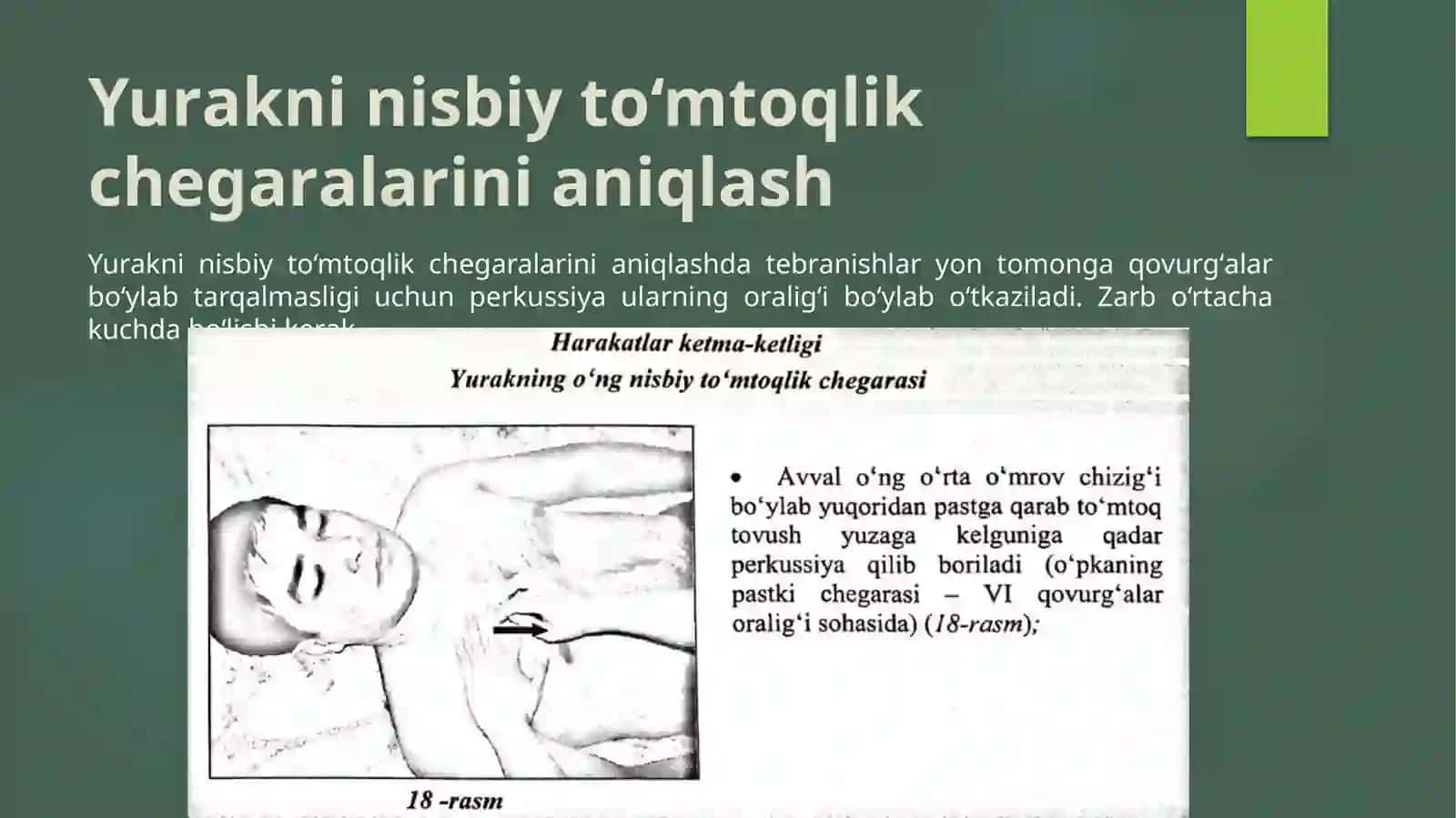 Yurak perkussiyasi 4