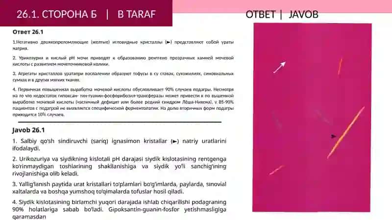 ВОПРОСЫ: СТОРОНАA 4