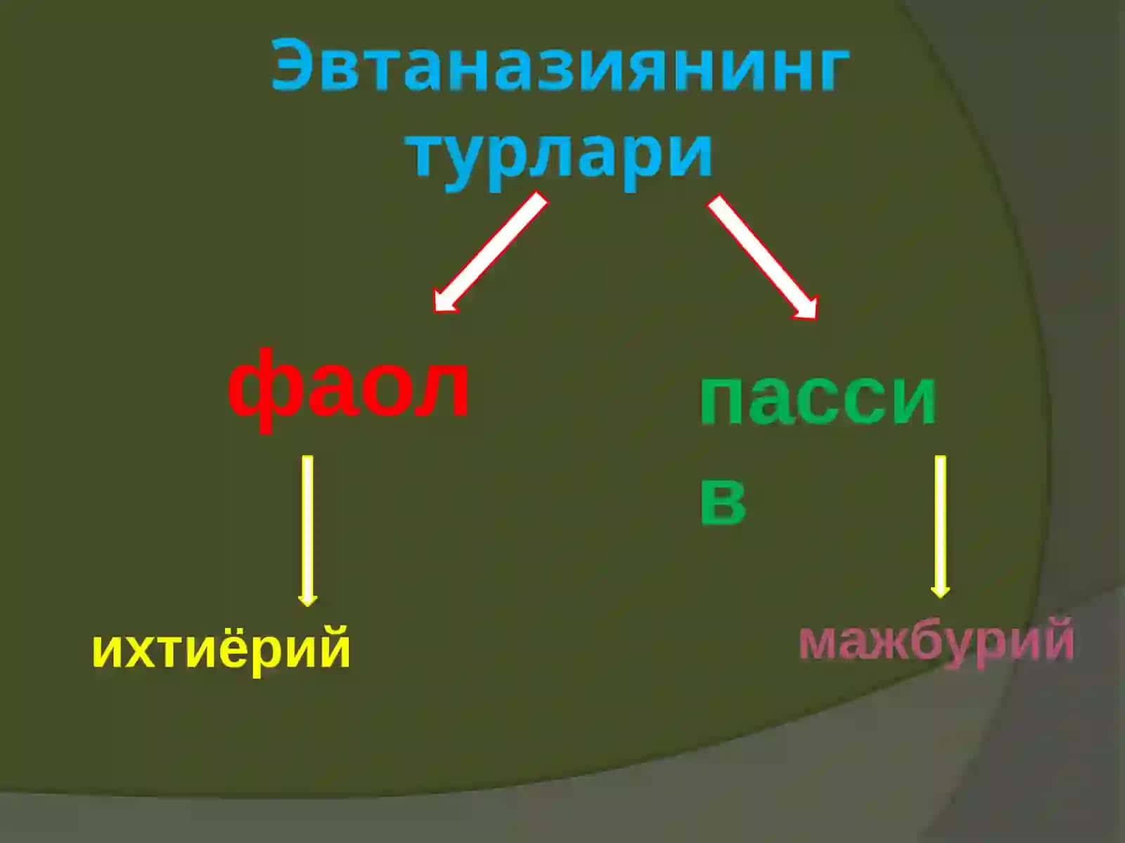 Evtanaziya 4