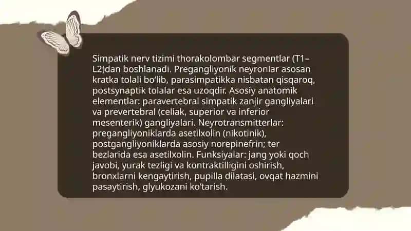 Vegetativ nerv sitemasi 4