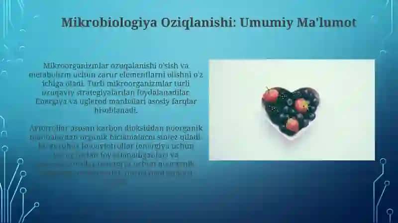 Geterotrof va Avtotroflarning Ekologik Rollari 4