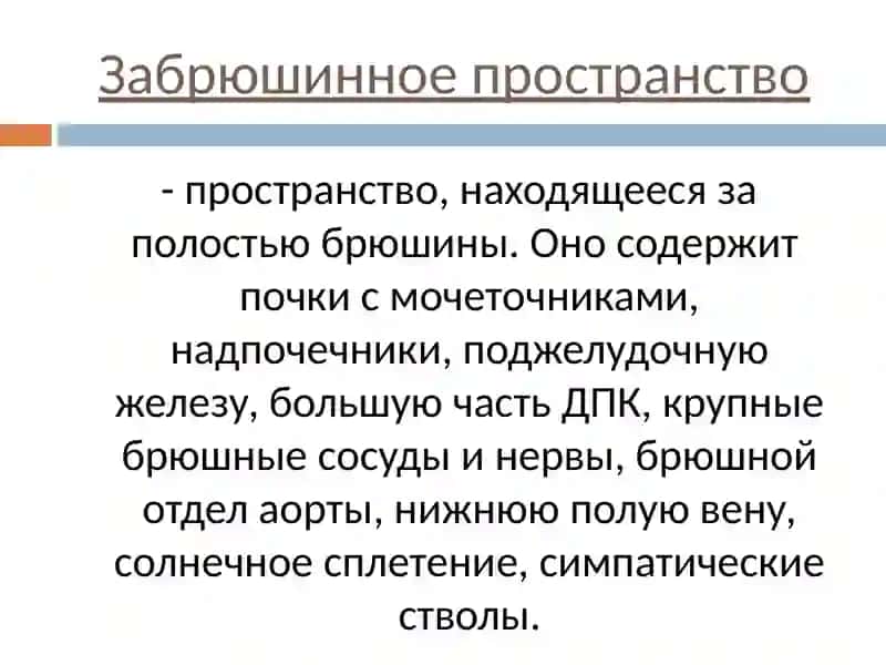 ТОПОГРАФИЧЕСКАЯ АНАТОМИЯ ЖИВОТА 4