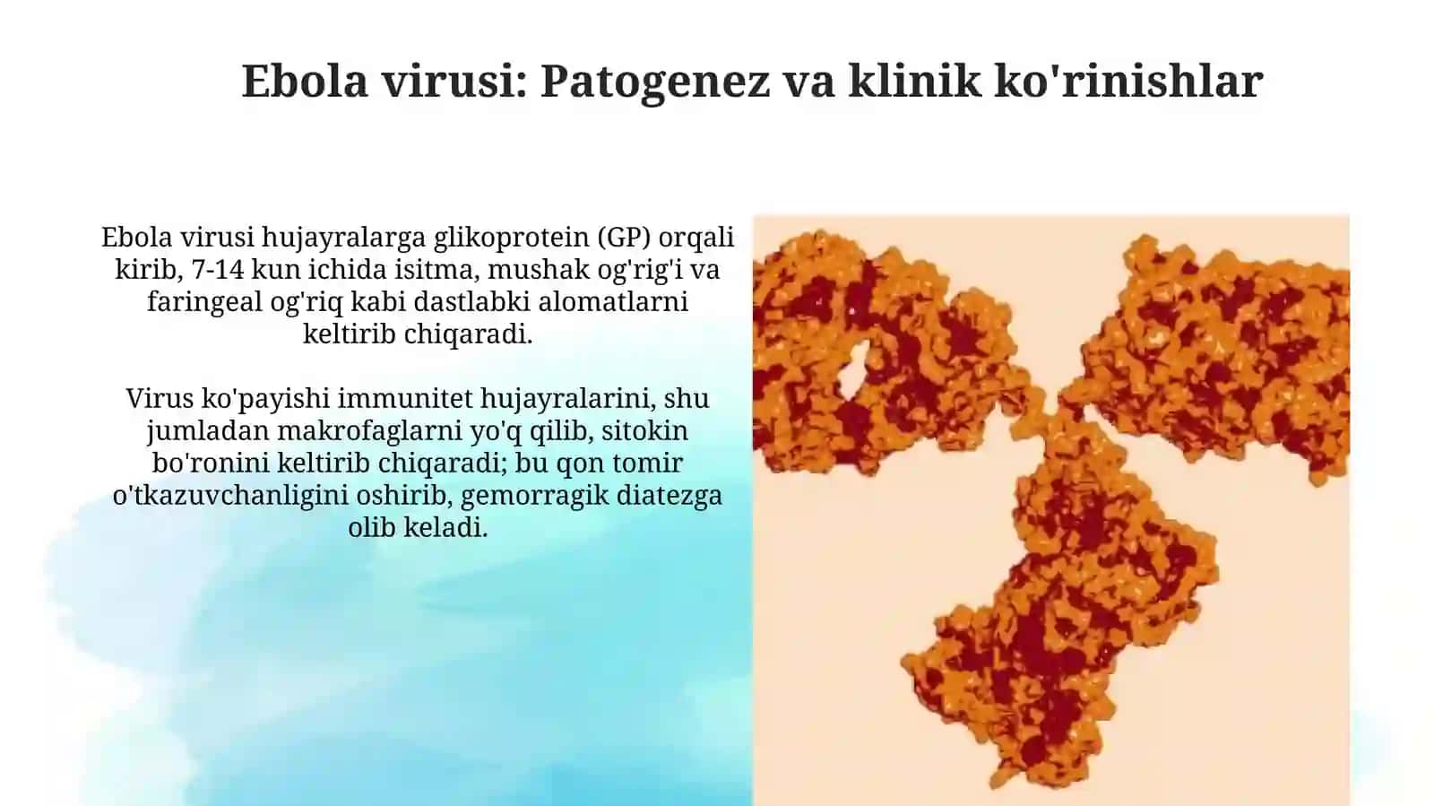 Ebola, Lassa, Zikaviruslari 4
