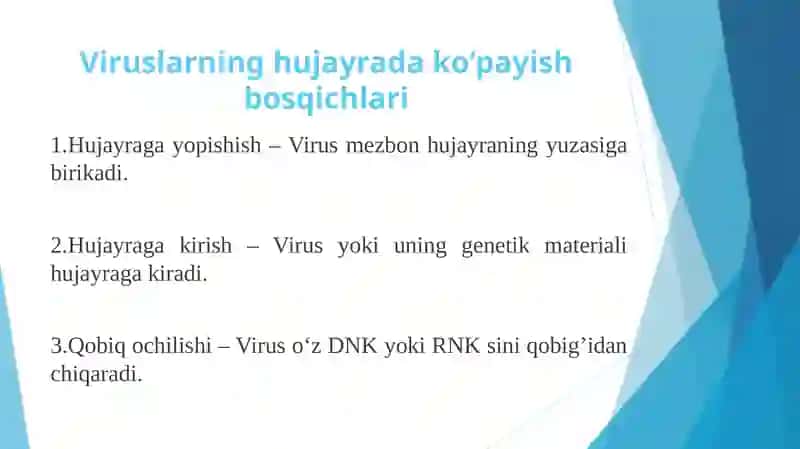 Viruslarga va o'smalarga qarshi dori vositalarni ta'sir mexanizm 4