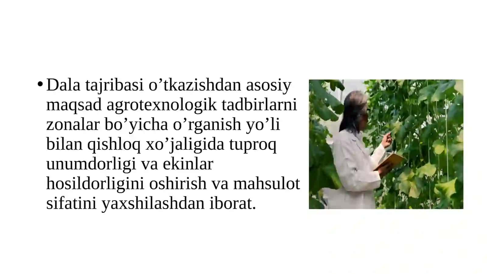 Dala tajribasi va uning xususiyatlari 4